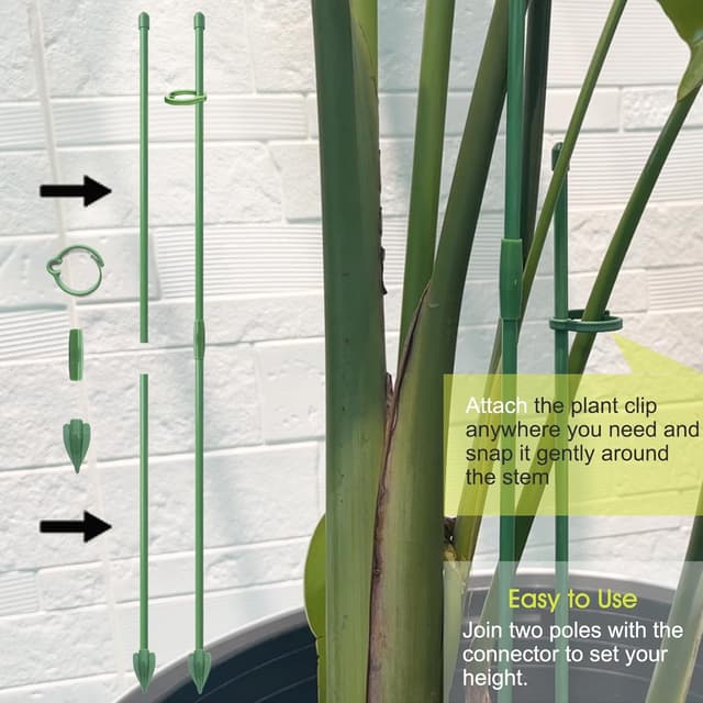 Detalle de RIFNY Plant Supports 30cm for indoor use