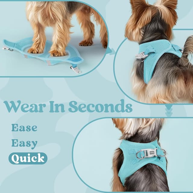 Detalle 2 de rabbitgoo Dog Harness Small Dog Step-in Soft Mesh Puppy Harness (Mint Blue, S)