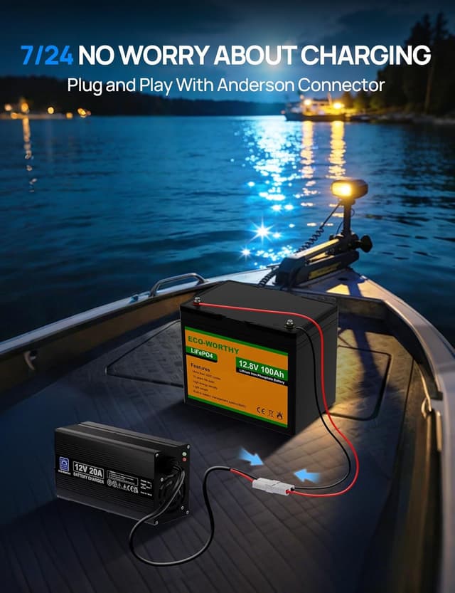 Thumbnail 2 de ECO-WORTHY 12V 20A LiFePO4 Battery Charger ⚡