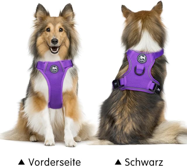 Detalle de PoyPet Reflektierendes weiches, atmungsaktives Hundegeschirr aus Mesh (Violett, XS)