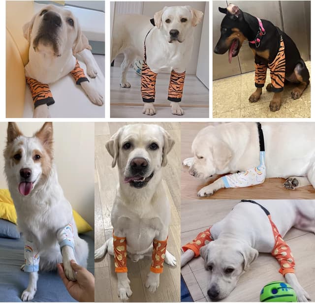 Detalle 2 de Blue Dream Island Dog Front Leg Braces Recovery Sleeve (Medium to Large, 2XL) — wound and incision protector