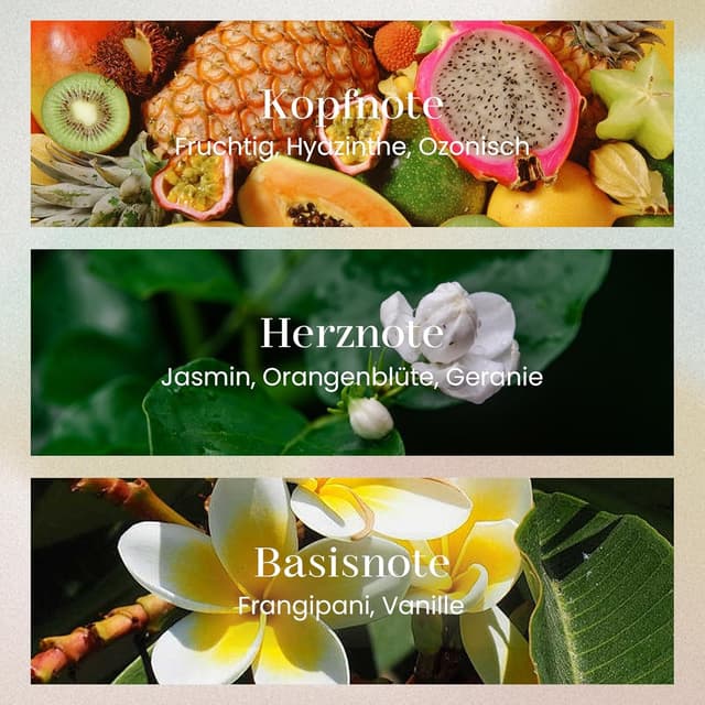 Thumbnail 4 de M&SENSE Raumduft 300 ml Jasmingirlande