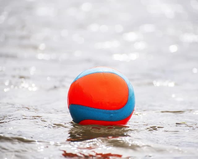 Thumbnail 3 de Chuckit! Amphibious Mega Ball insubmersible 11,5 cm 🦴