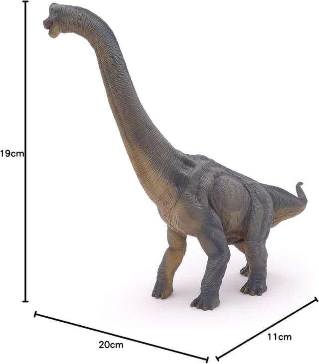 Thumbnail 5 de Papo 55030 Figura branquiosauro