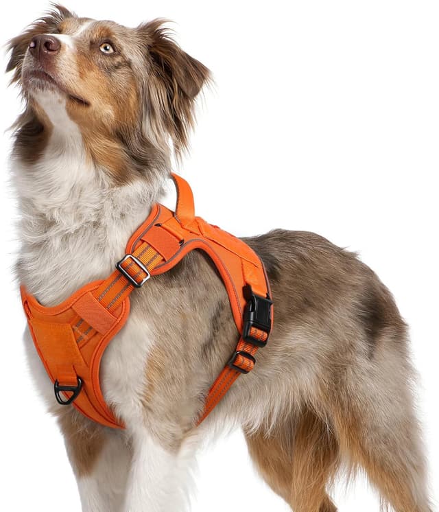 Detalle de rabbitgoo Hundegeschirr M (mittelgroße bis große Hunde) verstellbar, Anti-Zug, mit Metallschnallen und Tragegriff – Orange