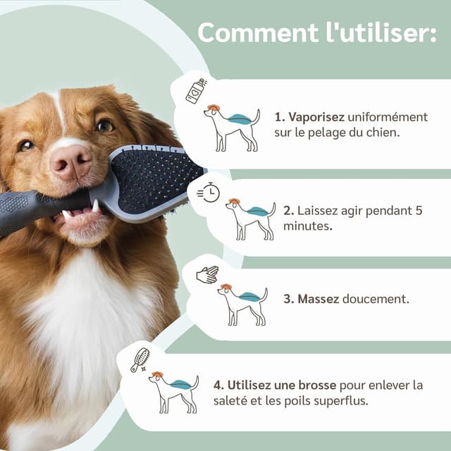 Detalle de amusi Shampooing Chien : shampooing sec anti-odeur sans rinçage (250 ml)