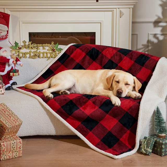 Thumbnail 6 de Qeils Dog Blanket 60x80 for Large Dogs 🐾