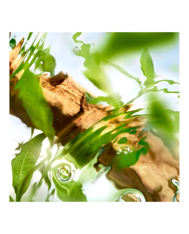 Detalle 2 de Lancôme Ôff Now 100 ml Eau de Toilette