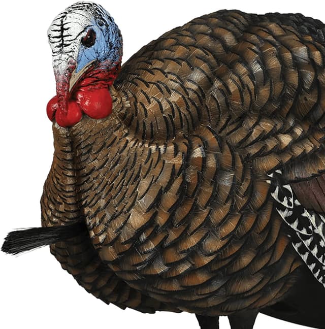 Thumbnail 6 de Avian X LCD 1/2 Strut Jake Turkey Decoy