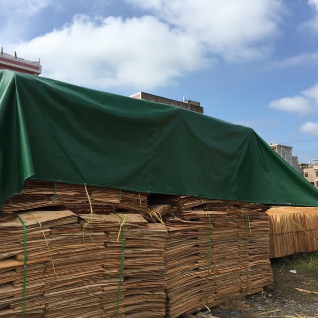 Thumbnail 5 de VOGANLL Bâche protection 2 x 2,4 m