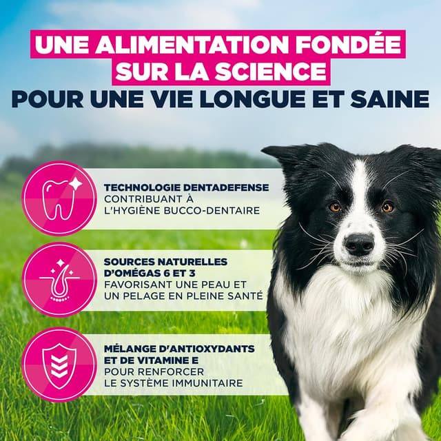 Detalle 2 de EUKANUBA Life Care Croquettes poulet 3 kg