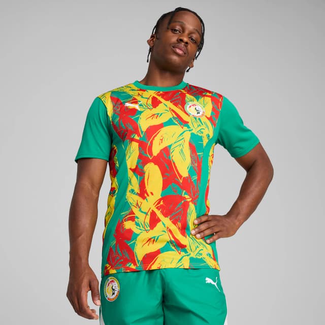 Imagen de Puma Camiseta entrenamiento Senegal FSF 2024-2025 en OfertitasTOP