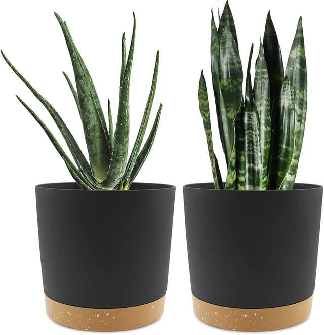 Thumbnail 6 de QCQHDU 25.4cm Plant Pot (2-pack) with Drainage Holes & Saucer, Light Grey