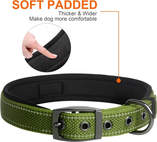 Detalle de Fida Padded Dog Collar with Metal Belt Buckle and Double-Layer Webbing (Green)