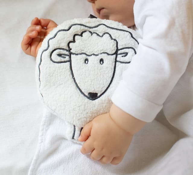 Detalle 2 de Fashy Coussin de noyaux de cerise en “mouton” à chauffer