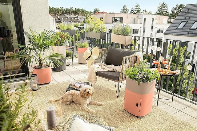 Thumbnail 4 de Lechuza 15683 Kit maceta balconera 79×19×19 cm