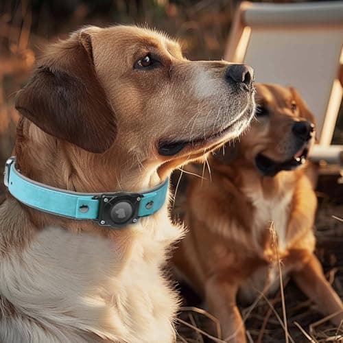 Thumbnail 6 de AirTag Dog Collar Leather with AirTag Holder
