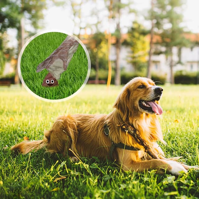 Detalle 2 de Nobleza Bolsas Caca Perro extra gruesas 1080u