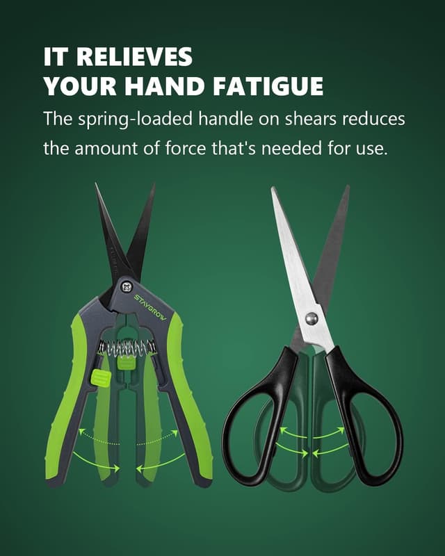 Detalle 2 de STAYGROW Präzisionsscheren 2er Set 16,5 cm