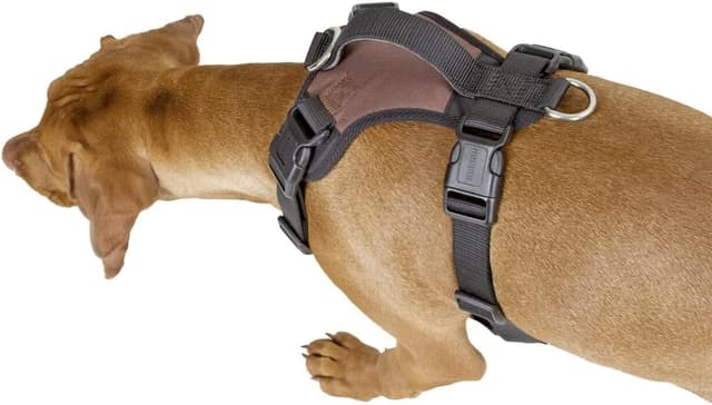 Detalle 2 de Kerbl Pet Hundegeschirr Pulsive (braun) – stufenlos verstellbar, reflektierende Flächen