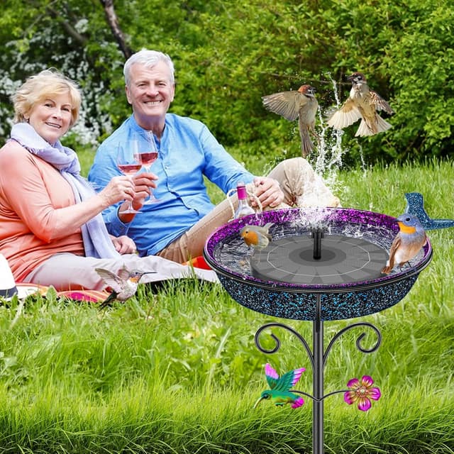 Thumbnail 4 de VeyFolzin.st Vogeltränke Vogelbad Groß Violett 🐦