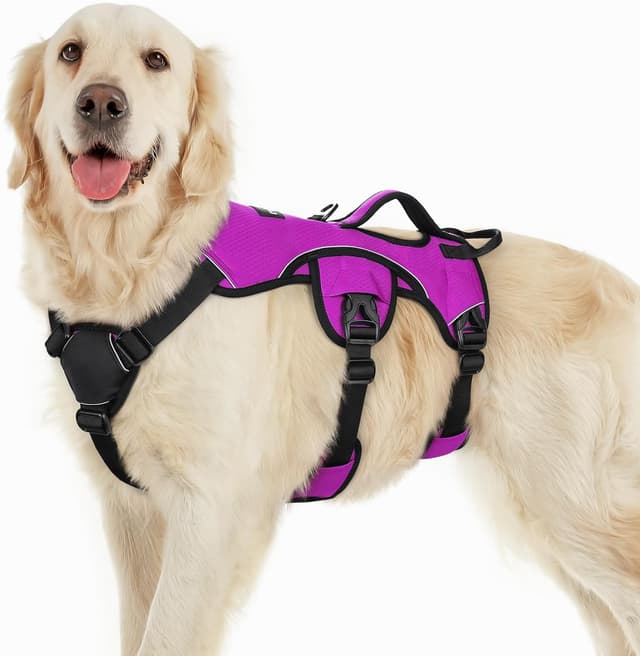 Detalle de rabbitgoo Escape-Proof Dog Harness (Large, Purple) with Lift Handle and Reflective Trim