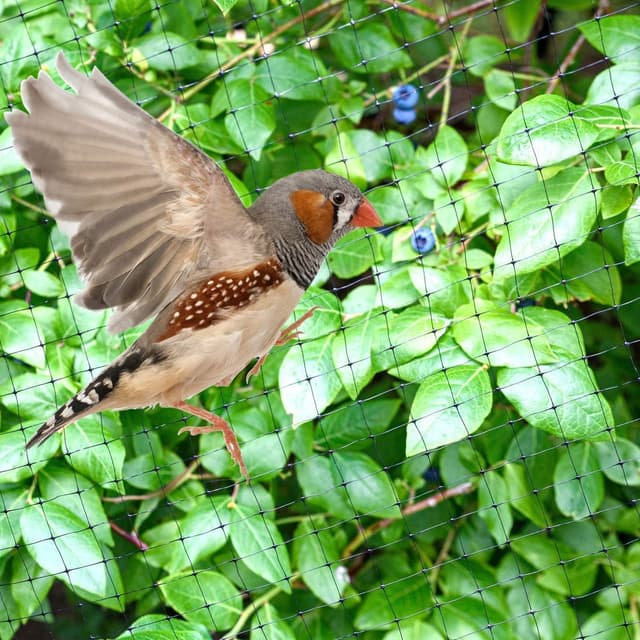 Detalle 2 de Ohuhu Bird Netting Garden Netting Reusable 2m x 30m (16–18mm mesh) with 50 cable ties & 10 ground pegs