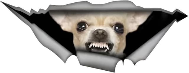 Thumbnail 6 de Chihuahua Autoaufkleber 3D Durchbruch