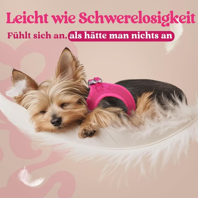 Detalle de rabbitgoo Hundegeschirr für kleine Hunde (XS) – Step-in Welpengeschirr mit weichem Mesh, atmungsaktiv & reflektierend