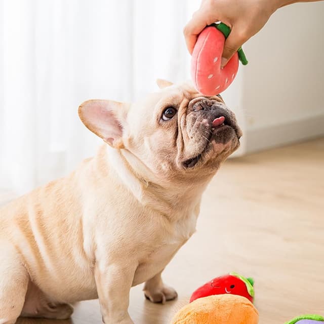 Detalle 2 de BRTNUP 8 Pack Dog Squeaky Toys for Puppy — plush squeaky chew toys for small to medium dogs