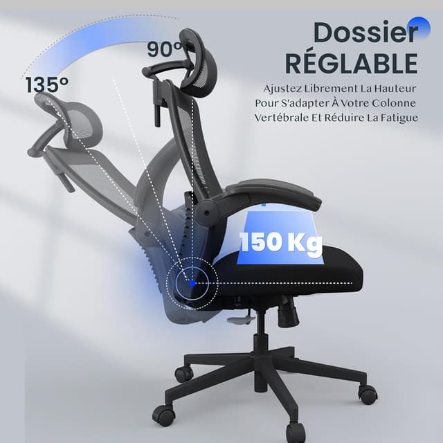 Thumbnail 6 de FLEXISPOT Chaise de Bureau Ergonomique 150 kg đș