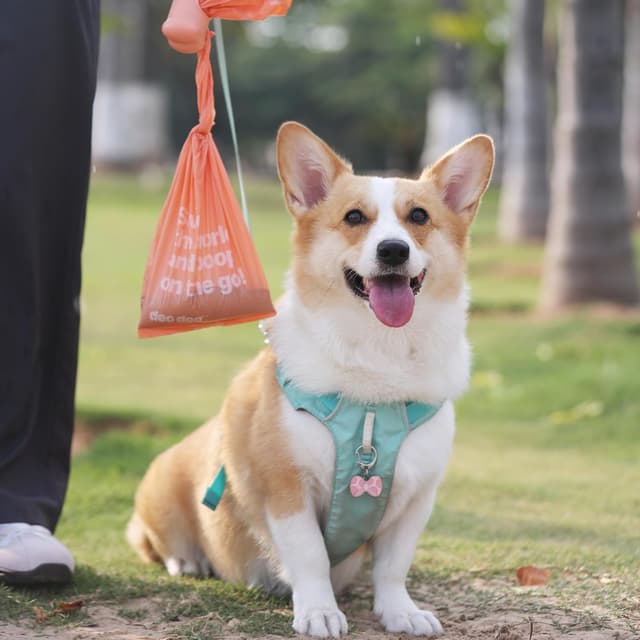 Detalle de Hundekotbeutel biologisch abbaubar mit Henkel & Spender – 720 Stück (60 Rollen) mit Duft