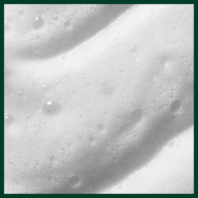 Detalle de Aveda Nutriplenish Styling Treatment Foam – Schaumfestiger mit leichtem Halt für mittleres bis dickes Haar