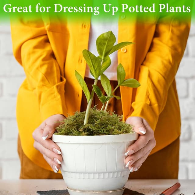 Detalle 2 de Halatool Sphagnum Moos 230 g für Pflanzen – naturbelassenes Moos für Orchideen, Terrarien & Umtopfen