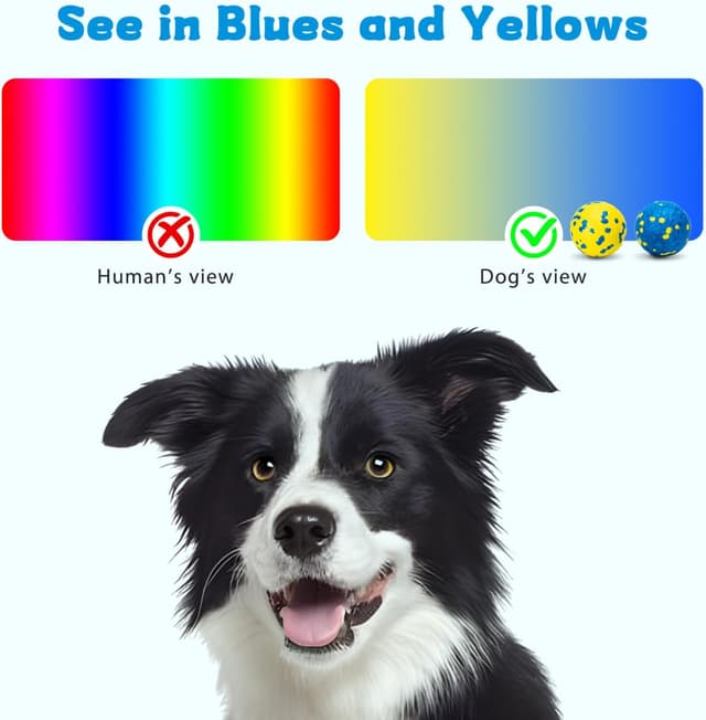 Detalle 2 de Palle per cani Nobleza “Indistruttibili” a alto rimbalzo, set da 3 pezzi Ø 6,3 cm