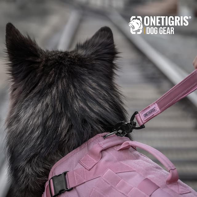 Detalle de OneTigris Bolt Kurzführer Hund 30 cm – Hundeleine kurz mit Tiger-Zahn Metallclip & weicher Polsterung, reflektierendes Nylon (Rosa)