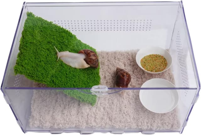Detalle de Jinymral Snail Terrarium Kit with Climbing Wall