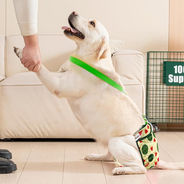 Thumbnail 6 de Avont Hundewindeln 3er Set für Hündinnen