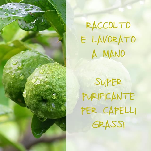 Thumbnail 4 de AMZ OMIA SHP Bergamotto 200ml shampoo purificante