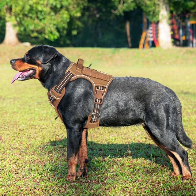 Detalle 2 de Haapaw Heavy Duty taktisches Hundegeschirr für große Hunde – verstellbar mit Molle-System