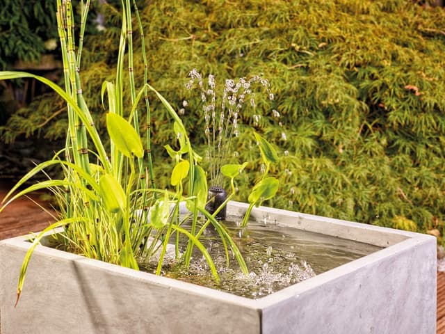 Thumbnail 6 de Oase Filtral 3000 Clarificateur UVC Noir