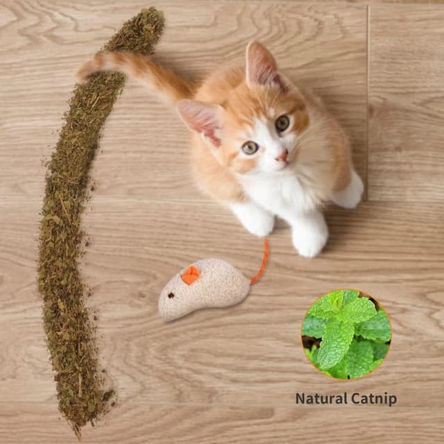 Detalle de OSDUE Erba Gatta Giocattolo in Pile a Forma di Topo, 9 Pezzi con Catnip