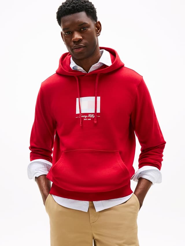 Detalle de Tommy Hilfiger Sweat à capuche homme Ithaca Flag en coton