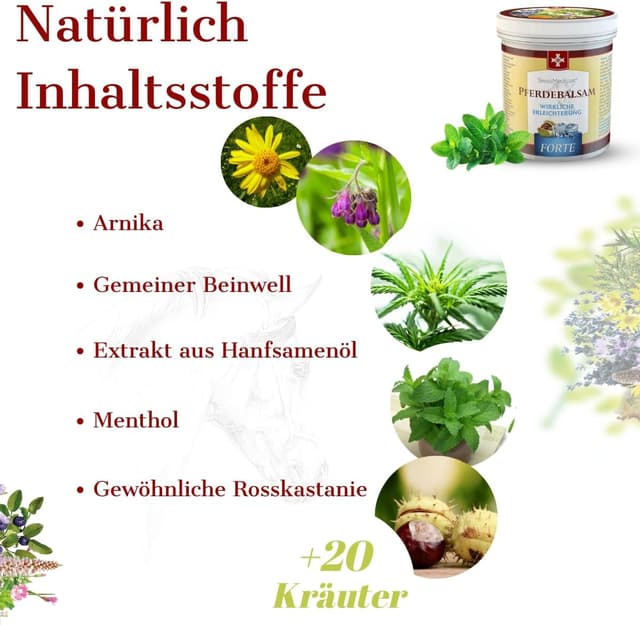 Thumbnail 4 de SwissMedicus Pferdebalsam mit 500 ml