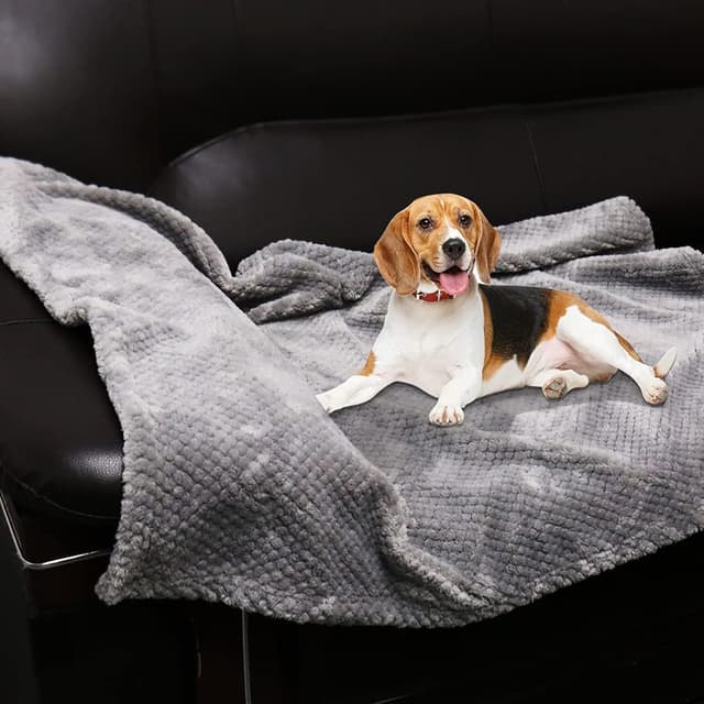 Thumbnail 6 de ASIJIA 2-pack pet blankets (70 x 100 cm) – thick, washable soft throws for small & medium dogs and cats (grey)