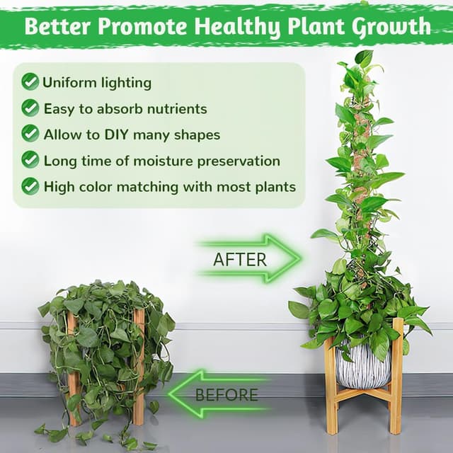 Detalle 2 de Aileem Moss Poles 122 cm plant support for climbers