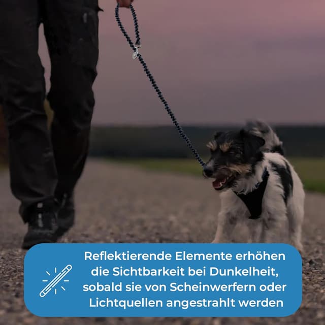 Detalle de Testnote: „Sehr gut“ reflektierende Hundeleine (2 m), verstellbar & wetterfest bis 250 kg