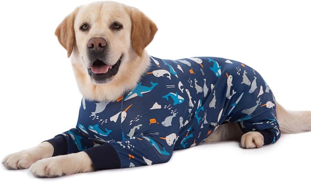 Thumbnail 6 de BT Bear Large Dog Onesie PJS recovery-style dog jumpsuit with joint protection, Dark Blue (XL)