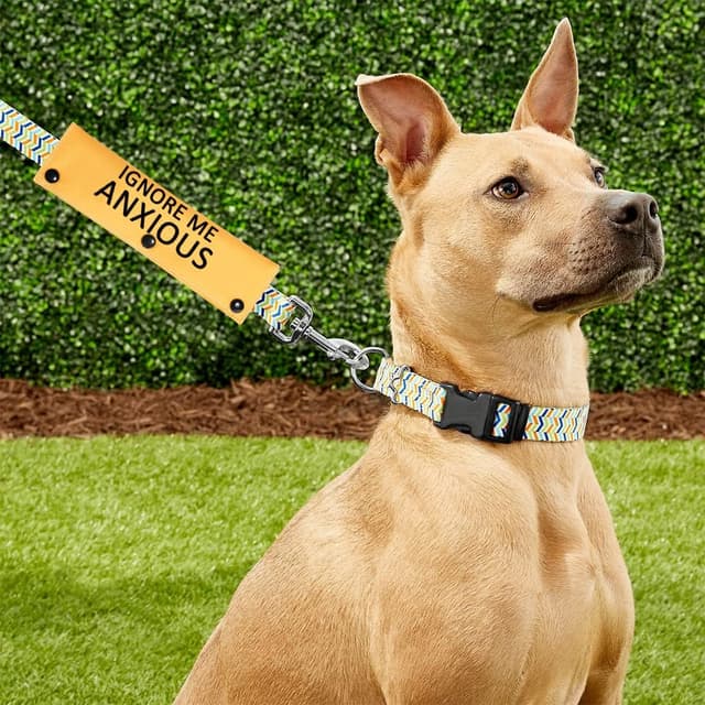 Thumbnail 4 de Ignore Me Anxious-S Dog Leash Sleeve ๐