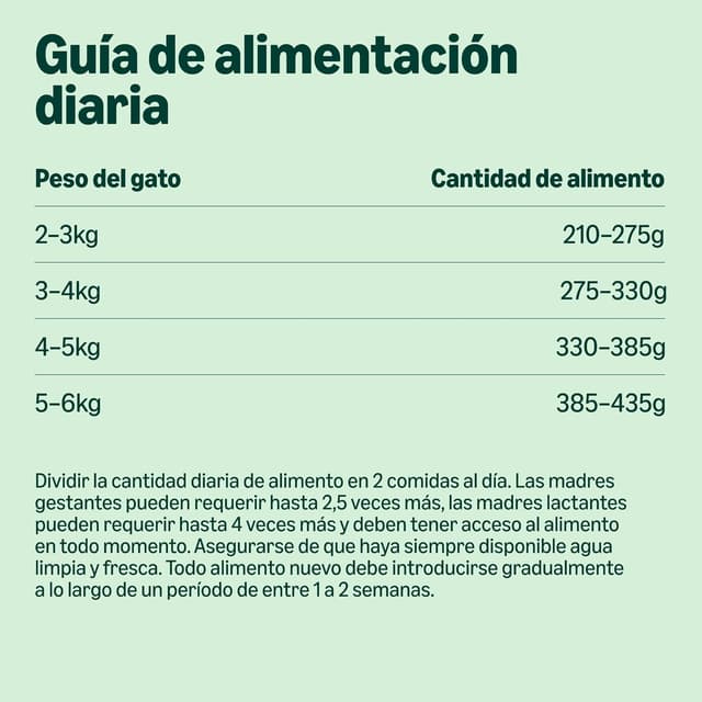 Thumbnail 3 de by Amazon Comida húmeda gatos paté ternera 12x400 g